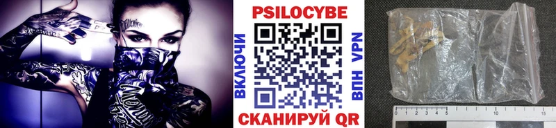 продажа наркотиков  Ейск  Галлюциногенные грибы мицелий 