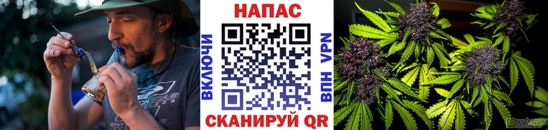 Шишки марихуана сатива  где купить   блэк спрут зеркало  Ейск 